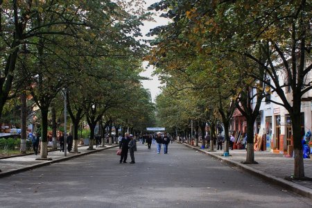 191538l.jpg