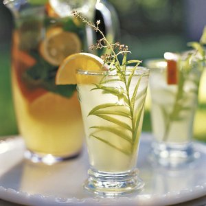 lemon+verbena+tea.jpg lemon+verbena+tea.jpg