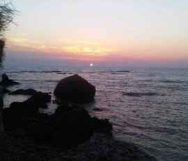 Screenshot_2016-04-30-16-29-37-1.jpg Screenshot_2016-04-30-16-29-37-1.jpg