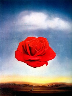 rosa_salvador-dali.jpg