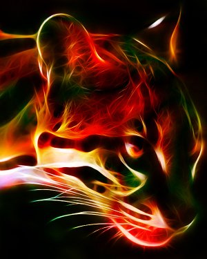 Fractal_Ocelot_by_minimoo64.jpg