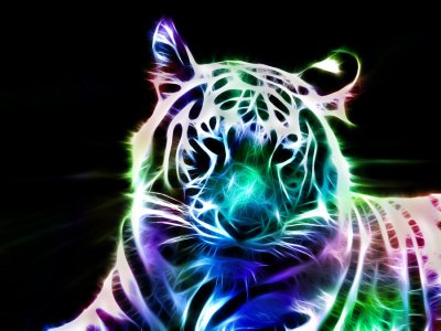 Fractal_White_Tiger_by_minimoo64.jpg