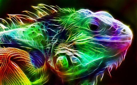 Fractal_Lizard_by_minimoo64.jpg