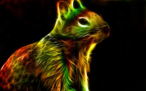 Fractal_Squirrel_by_minimoo64.jpg