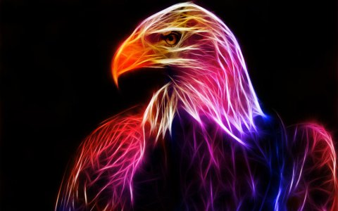 Fractal_Eagle_3_by_minimoo64.jpg