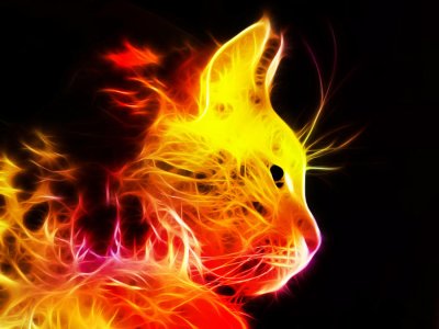 Fire_Fractal_Cat_by_minimoo64.jpg