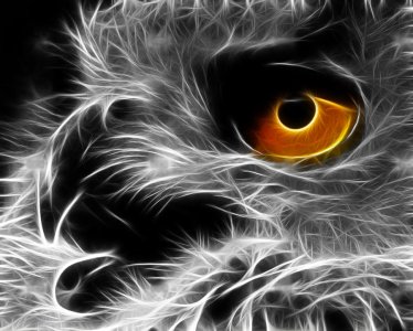 Fractal_Owl_by_minimoo64.jpg