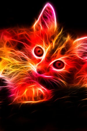 Fractal_Kitten_by_minimoo64.jpg