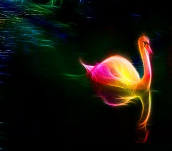 Fractal_Swan_by_minimoo64.jpg