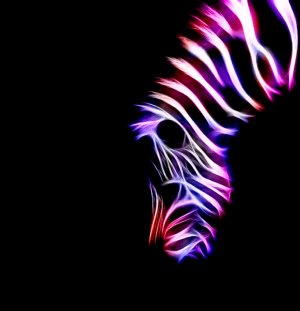 fractal_zebra___pink_by_minimoo64-d3117ae.jpg