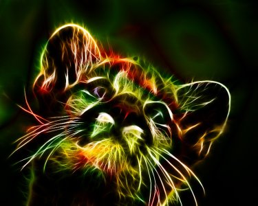 fractal_cub_by_minimoo64-d32fwvs.jpg