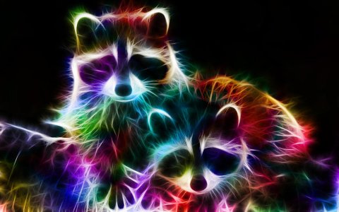 fractal_racoons_by_minimoo64-d36w2os.jpg