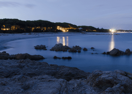 sxc_946621.gif