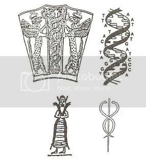 DNA4enki_zps4e35e66a.jpg