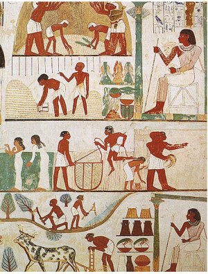 456px-Tomb_of_Nakht_%282%29.jpg