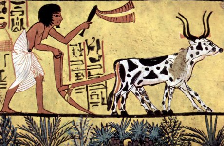 Ancient+Egypt+-+%2528125%2529.jpg