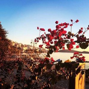 1923381_1025776067487337_372946175080300816_n.jpg 1923381_1025776067487337_372946175080300816_n.jpg