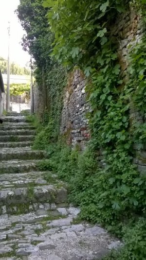 WP_20160430_17_54_41_Pro.jpg WP_20160430_17_54_41_Pro.jpg