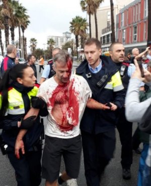 240981.jpg 240981.jpg