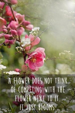 -with-the-flower-next-to-it-it-just-blooms-quote-1.jpg