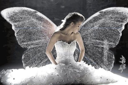 butterfly-wings-dress-girl-white-Favim.com-670298.jpg