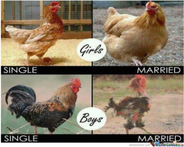 women-vs-men_o_698322.jpg women-vs-men_o_698322.jpg