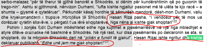 riza%20pasha3_zpseyrpgxpz.png