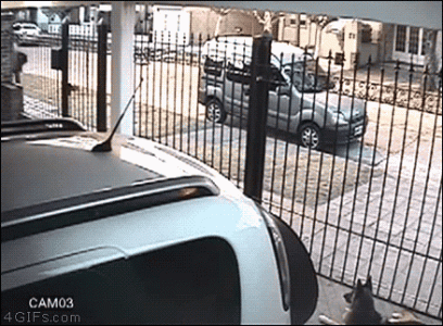 Woman-foils-robbery-throws-bags.gif