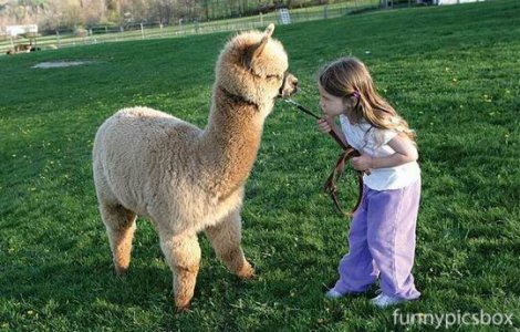 Kids+and+Animals+Best+Friends+0011.jpg