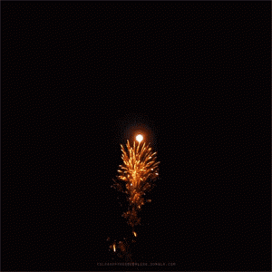 fireworks-animated-gif-2.gif