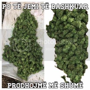 droga_zpslpxaaik0.jpg