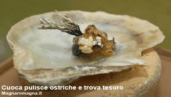 perle_featured.jpg