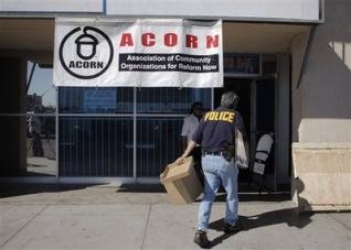 acorn_899414264[2].jpg