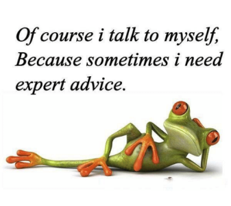 -i-talk-to-myself-because-sometimes-i-need-4607602.png