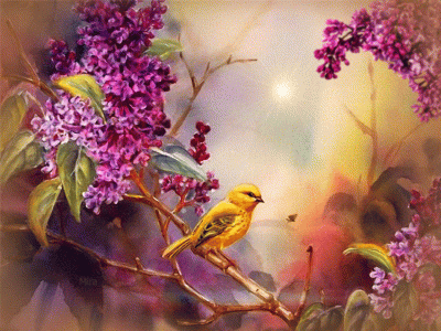 836bb5f71928d9c3dbe8ba9b89164423.gif
