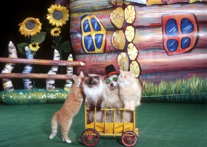 Cat-Theater-in-Moscow.jpg