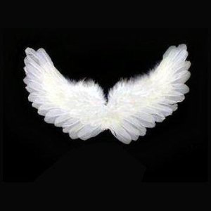 Feather_Angel_Wings.jpg