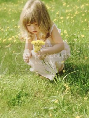 alan-bedding-girl-picking-dandelion.jpg