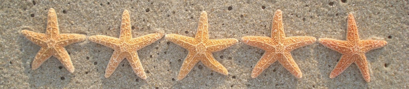 5_Starfish_on_Sand.jpg