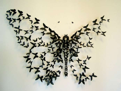 f9af76fc68ab2a3b_butterflies.png