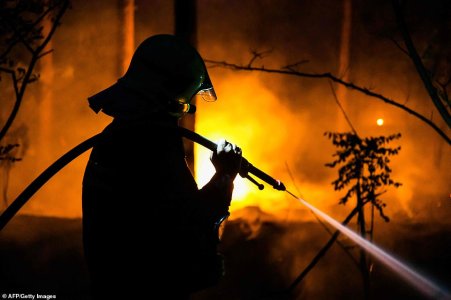 ing_of_a_forest_fire_in_Ziltend-a-20_1561710458912.jpg