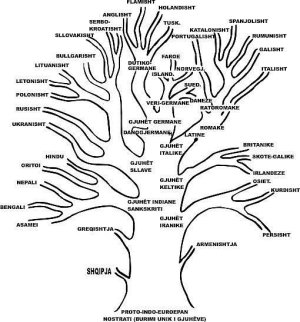 Pema%20e%20Gjuheve%20IndoEuropiane%20-%20shqip.jpg