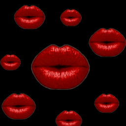 290854702010201.gif