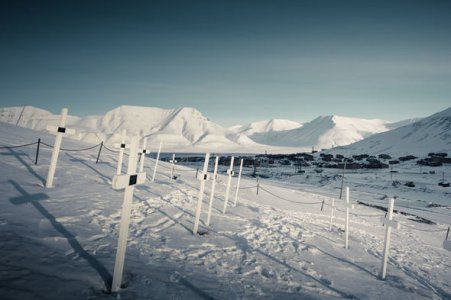 Weird-laws-Norway-town-longyearbyen-1231692.jpg