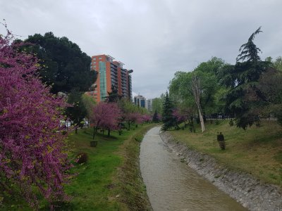 20190409_180340.jpg