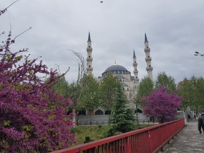 20190409_180330.jpg