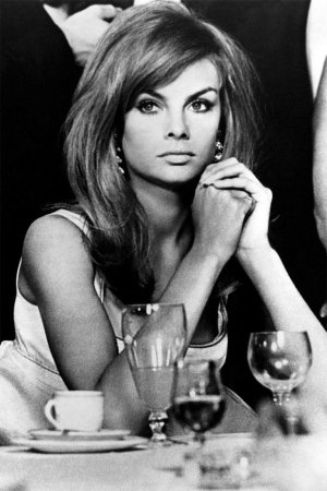 bz-jean-shrimpton-1697-rexusa-296836ar-98128119-lg.jpg