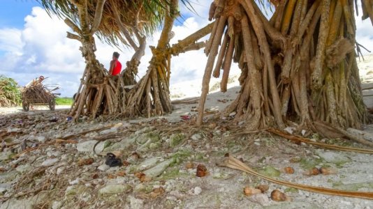 Tuvalu-Funafuti-130-1110x624.jpg