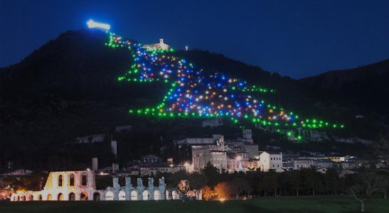 albero-di-natale-di-gubbio-foto-dal-sito-590x324.jpg