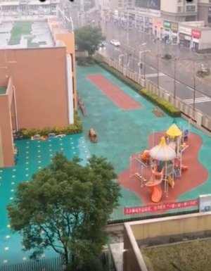 0_THP_MDG_250120Slug_14687JPG.jpg 0_THP_MDG_250120Slug_14687JPG.jpg